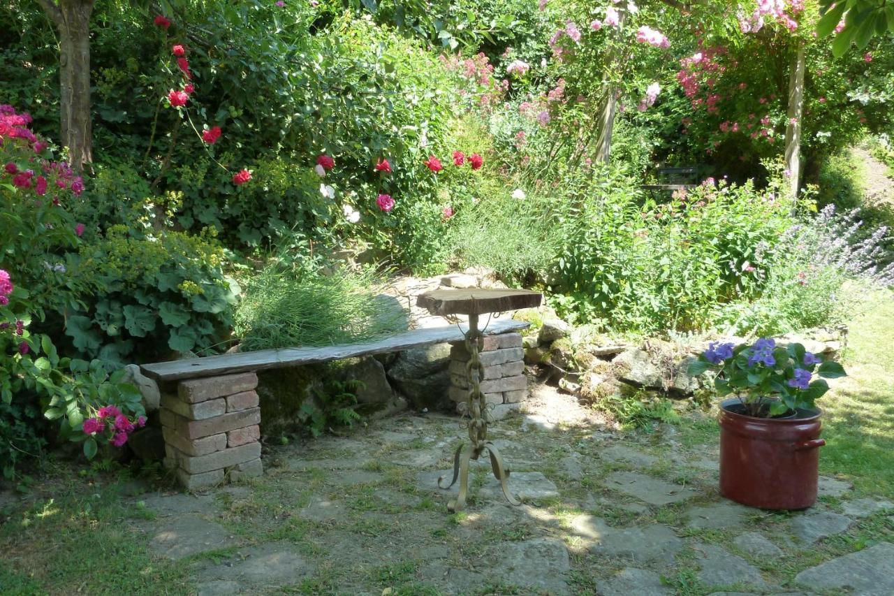 Ferienwohnung Degner Schonberg  Luaran gambar